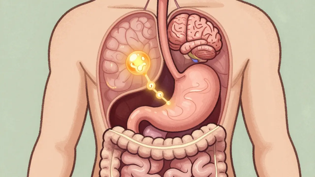 GLP-1 Receptor Agonists: How They Lower A1C and Drive Weight Loss